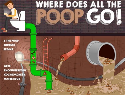 Poop And The Plumbing Saga — Kevin Szabo Jr Plumbing - Plumbing ...