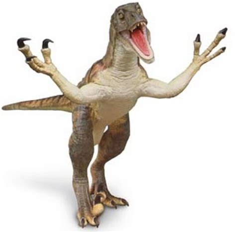 Pet Velociraptor Care With Valuable FAQs | hubpages