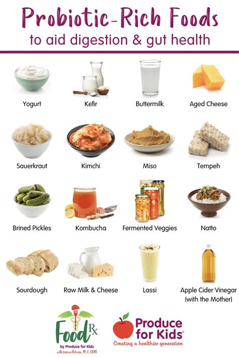 List Of Probiotic Foods