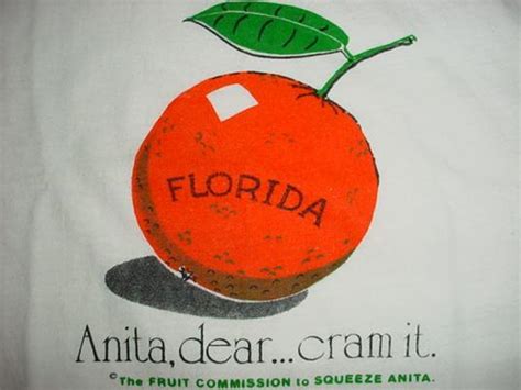 Vintage Anti-Anita Bryant T-Shirt Florida Gay Int 1970s L/M