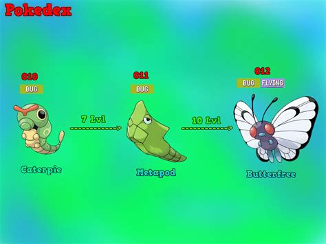 Tree of Evolution: Caterpie by MawileXY on DeviantArt