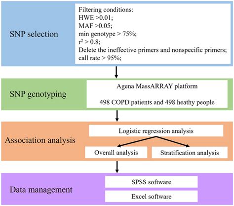 The Journal of Gene Medicine - Wiley Online Library