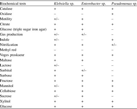 enterobacter aerogenes biochemical tests