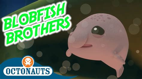 Octonauts - Blobfish Brothers | Full Episode | Cartoons for Kids - YouTube