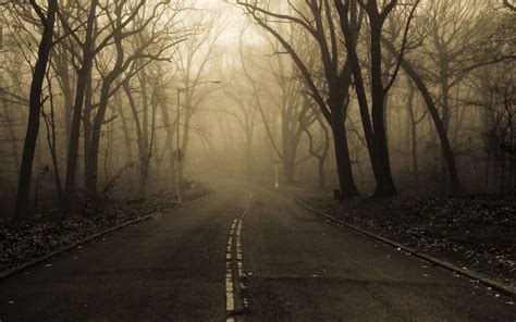 Spooky Forest Wallpaper (68+ images)