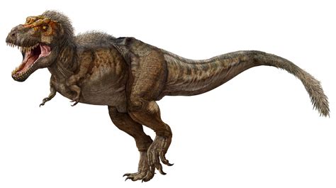 T. rex discovered in Canada is the biggest and oldest ever found ...