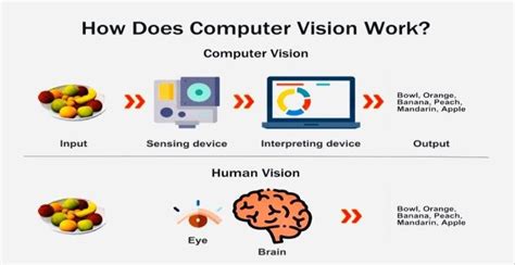 Computer VS Human vision | Download Scientific Diagram