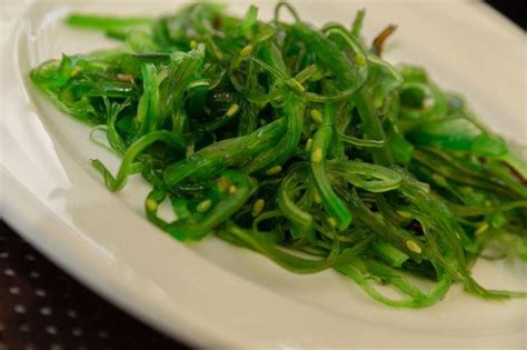 Algae as a Food? - Science News