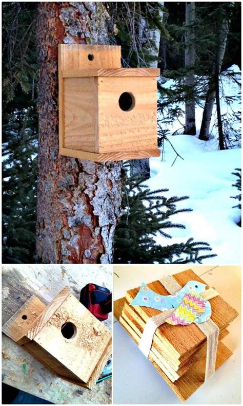 Build a Modern Bird House Under $1 Tutorial - How to build a Birdhouse ...