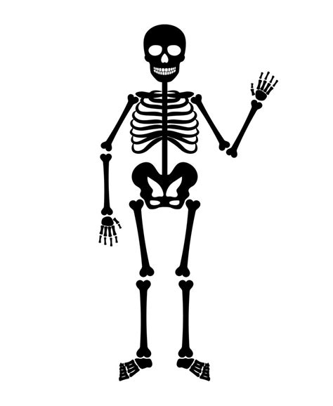 Vector halloween black skeleton By SmartStartStocker | TheHungryJPEG