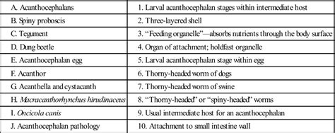 The Phylum Acanthocephala | Veterian Key