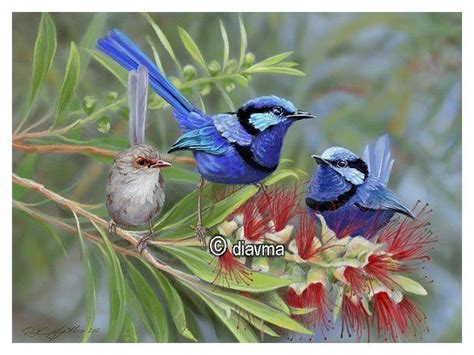 blue wren drawing - Google Search | Drawings, Leaf drawing, Canvas painting