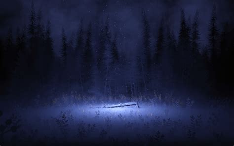 Light Wallpaper 4K, Night, Forest, Winter, Foggy