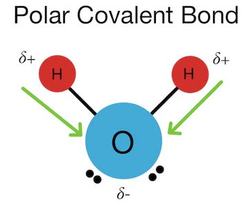 Polar and Nonpolar Covalent Bonds — Overview & Examples - Expii