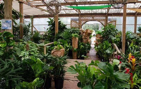 Choosing an Indoor Plant - Tallahassee Nurseries | Tallahassee's ...