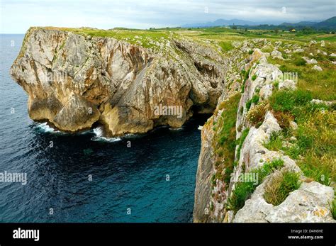 Karst limestone sea cliffs at Pria, with Picos de Europa mountains in ...