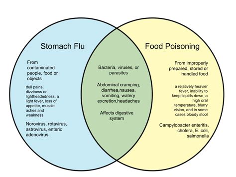 Difference Between Stomach Flu and Food Poisoning – WHYUNLIKE.COM