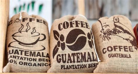 The 5 Best Guatemalan Coffee Brands (Plus Buying Tips!) - DrinkStack