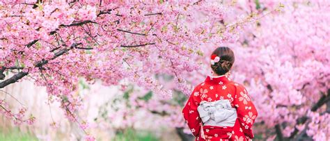 20 Best Kyoto Cherry Blossom Spots (Sakura Hanami Top Tips)