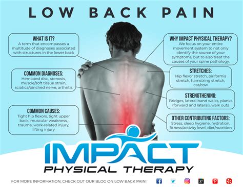 Low Back Pain - Impact Physical Therapy