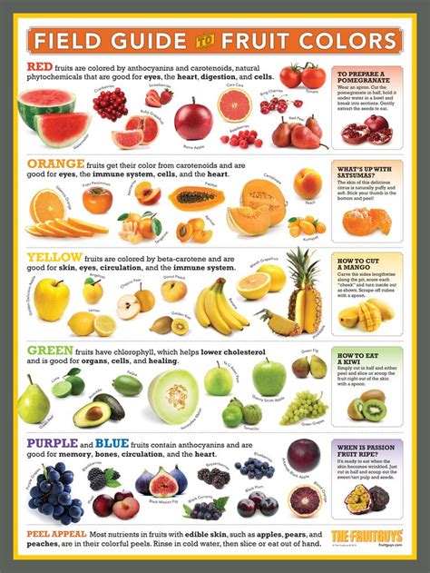 Field Guide to Fruit Colors | Fruit nutrition, Fruit for diabetics ...