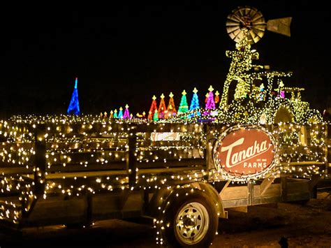 17 Best Places to See Christmas Lights in Los Angeles