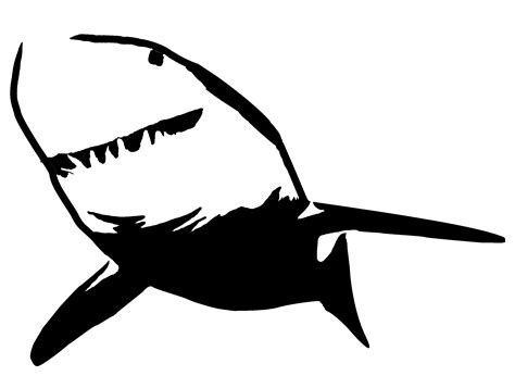 Bull Shark Silhouette at GetDrawings | Free download