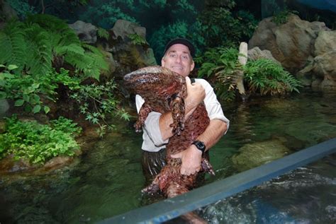 Absurd Creature of the Week: The Human-Sized Salamander That Smells ...