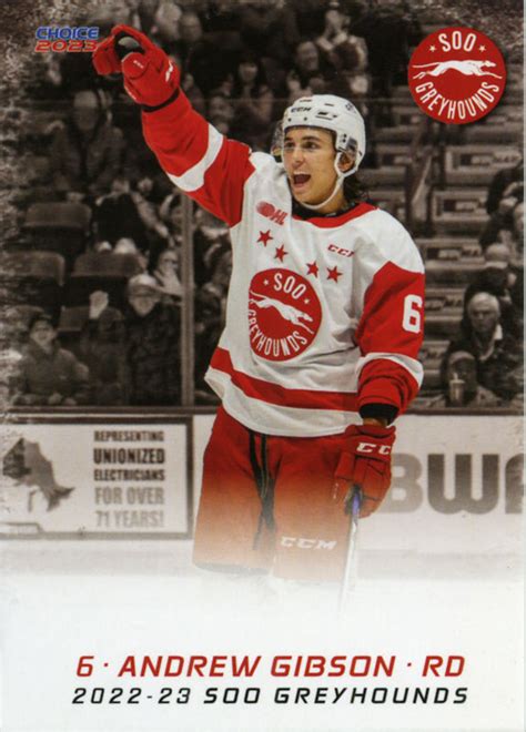 Soo Greyhounds 2022-23 Hockey Card Checklist at hockeydb.com