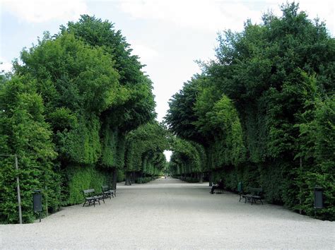 Free schoenbrunn palace gardens Stock Photo - FreeImages.com