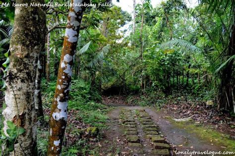 Mt. Isarog National Park – Nature’s Refuge - Travel to the Philippines