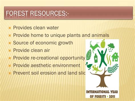 PPT - Conservation of natural resources PowerPoint Presentation, free ...