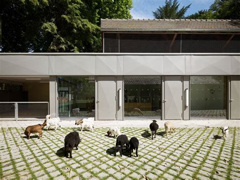 20 Times Architecture Sheltered Animals, Not Humans | ArchDaily