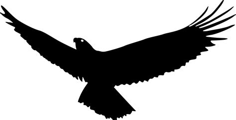 Bald Eagle Bird Flight - Eagle wings png download - 2221*1135 - Free ...