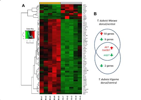 Differential gene expression. a Heatmap showing differential gene ...