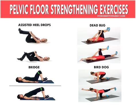 Pelvic floor and doing pelvic floor exercises seems to be a buzz word ...