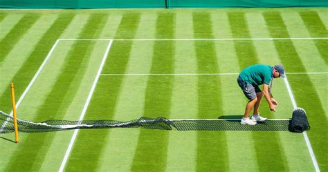 10 questions you have about grass-court tennis: serve and volley ...