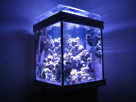 Aquarium DIY Lighting Setups | Home Business and Lighting Designs