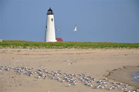 Nantucket Island Beaches - Nantucket, MA | Pet Friendly Travel