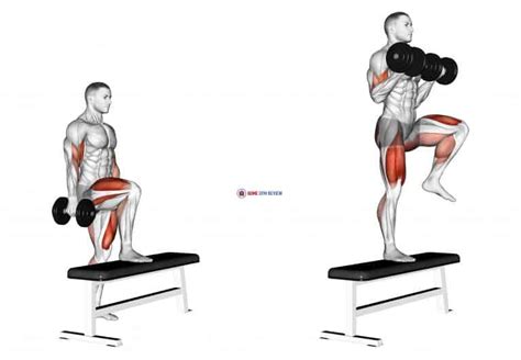 Dumbbell Step Up Single Leg Balance with Bicep Curl - Home Gym Review