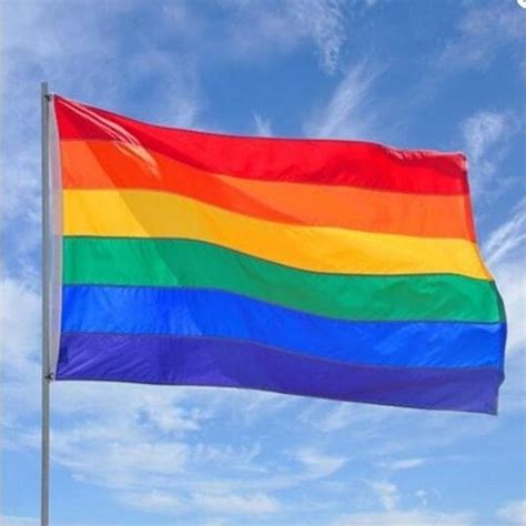 Regenboogvlag - LGBT Gay Pride Regenboog Vlag - Grote Homo LGBTQ ...