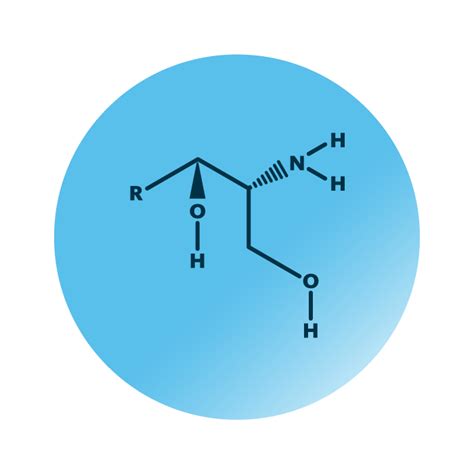 Sphingolipids Analysis - Lipid Analysis - Lipotype GmbH