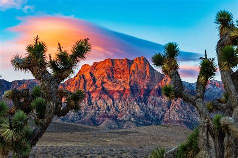 Las Vegas Red Rock Canyon - A Spectacular Desert Wonderland near Las ...