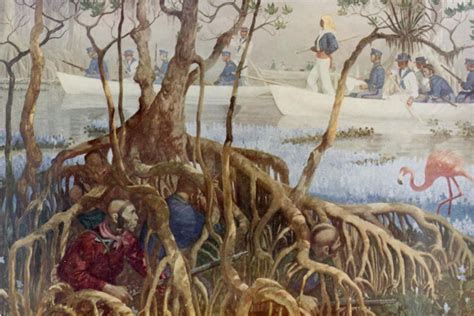 The Seminole Wars - HubPages