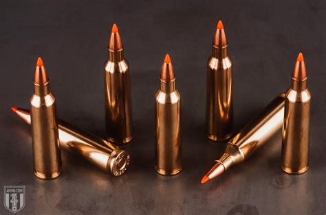 22-250 vs 223: Hunting Caliber Comparison by Ammo.com