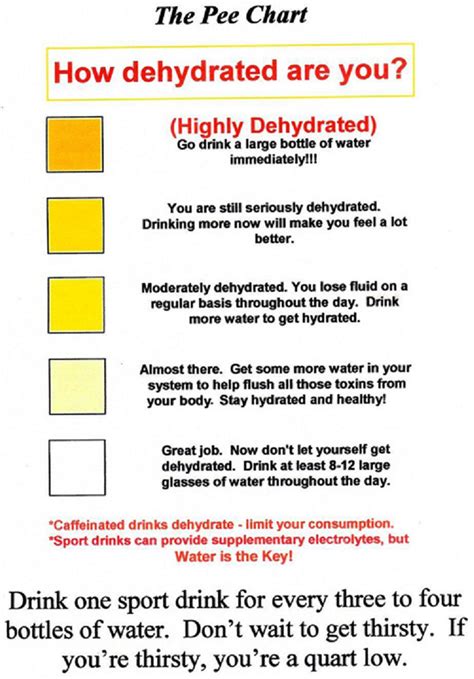 Urine Color Chart Check Your Hydration Level Ph7pluswater - Bank2home.com