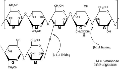 β-1,3 glycosidic bond branched-chain structure at the C3 position of ...