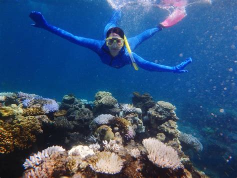 Snorkelling on Great Barrier Reef opens up a colourful world