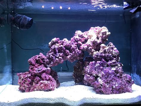 First Saltwater Tank Aquascape - Aquascaping Forum - Nano-Reef Community