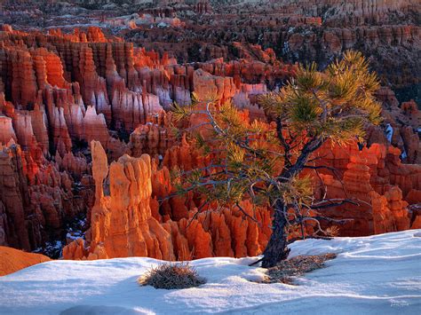 Bryce Canyon Winter Light Utah Photograph by Leland D Howard - Pixels